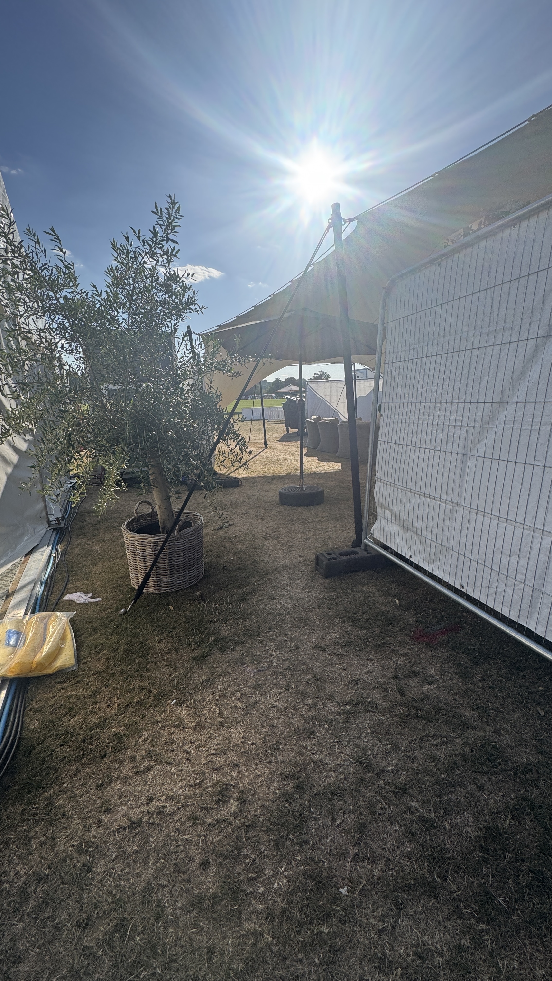 IMG_0902.jpeg